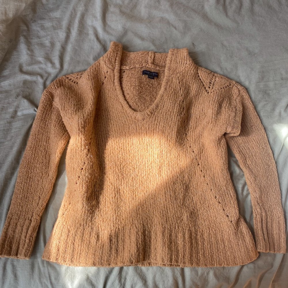 AEO knit hooded sweater